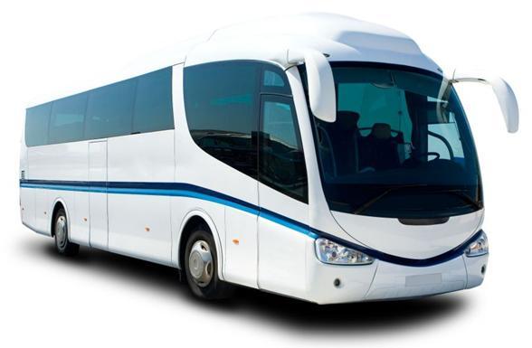 coach1.jpg