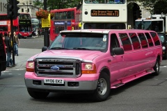 Hot Pink Excursion