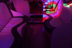 LIMO PARTY BUS - IMAGE 3