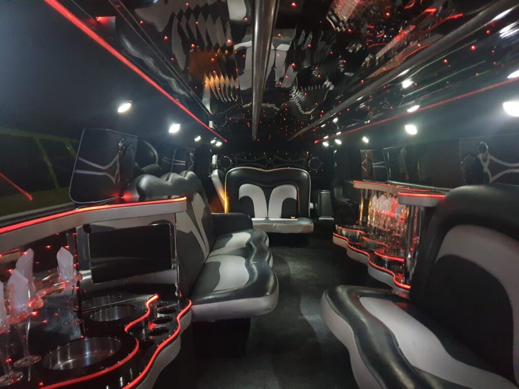 excursion limo interior